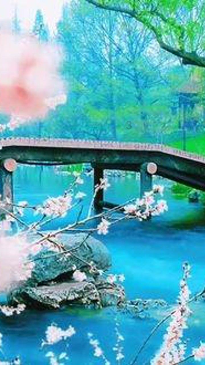 结婚一定要看对方家境吗?蜗牛问答平台,专注解决您的困惑